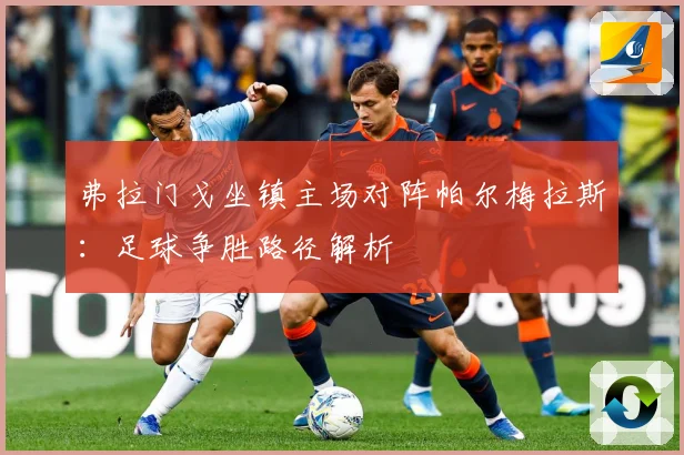 弗拉门戈坐镇主场对阵帕尔梅拉斯：足球争胜路径解析