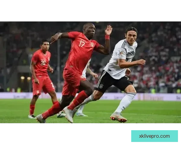 世界杯竞猜赔率分析与投注建议精准预测助您赢得更多奖金